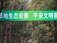 北京节地生态葬过去汇总和现在发展状况及成果
