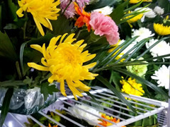 河北华龙皇家陵园增加鲜花现场销售服务