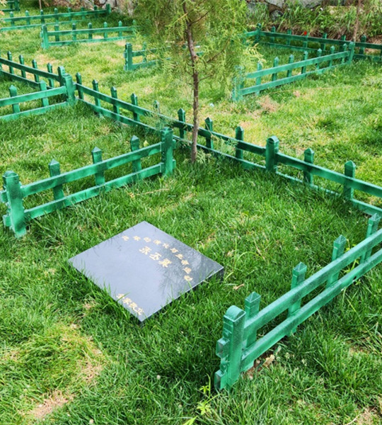 生态二区树葬