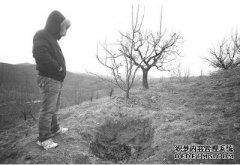 鞍山一位环保人士在承包的山地里经营宠物墓地