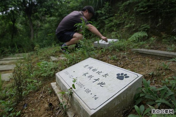 重庆建宠物公墓 最高价5999元