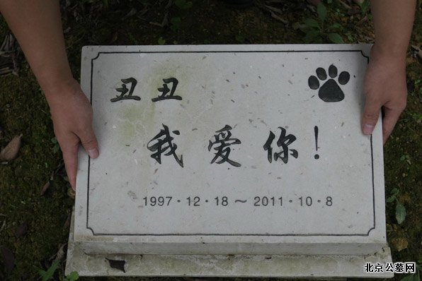重庆建宠物公墓 最高价5999元