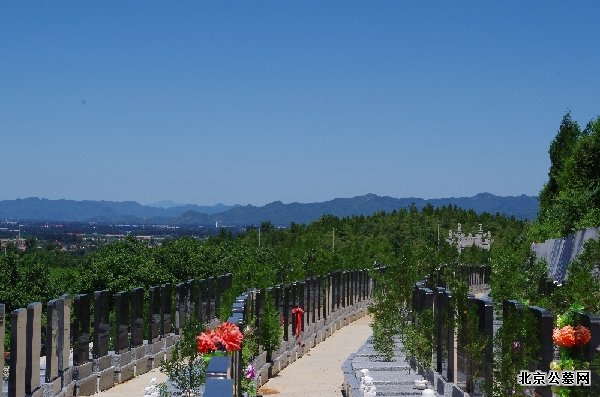 金牛山公墓墓区景观-1