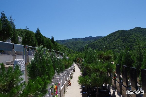 金牛山公墓墓区景观-2