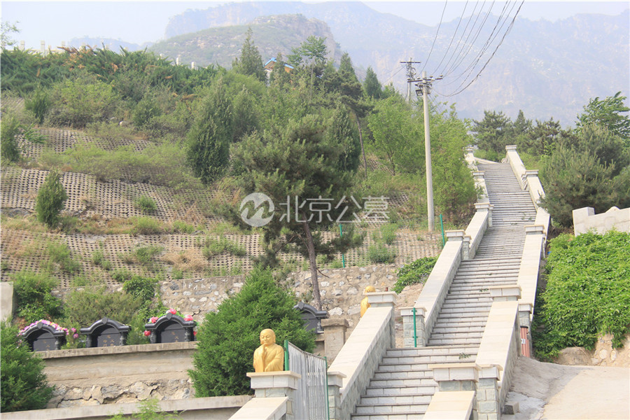 楼梯风景