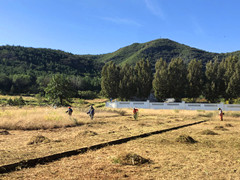 顺义区殡仪馆筑牢山林防火安全防线