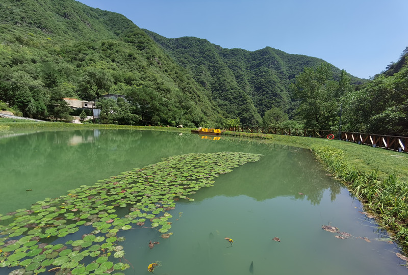 北京某陵园环境