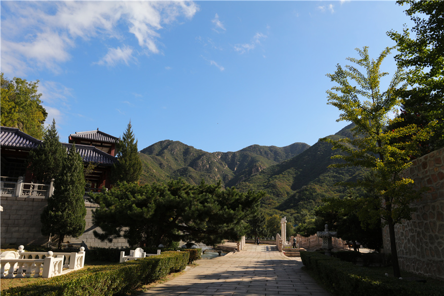 陵园风景