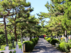 北京石景山墓地价格多少钱？北京石景山公墓陵园价格表最新