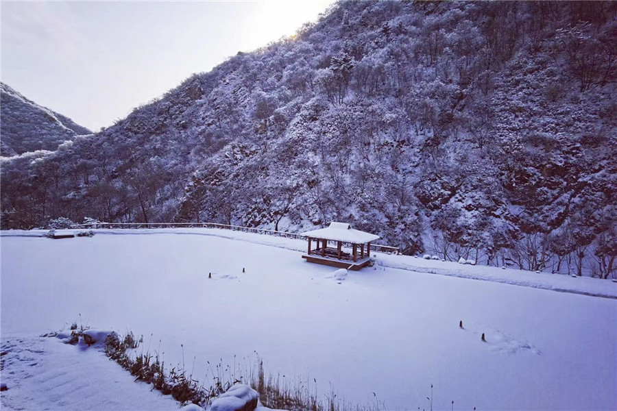 陵园雪景